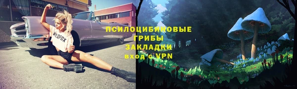 ALPHA PVP Переславль-Залесский
