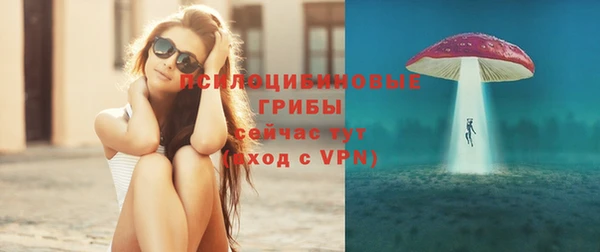 mdpv Пестово