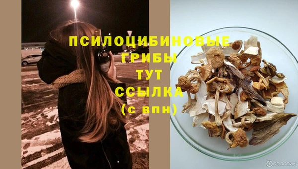 mdpv Пестово