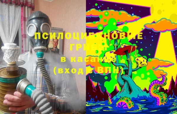 mdpv Пестово