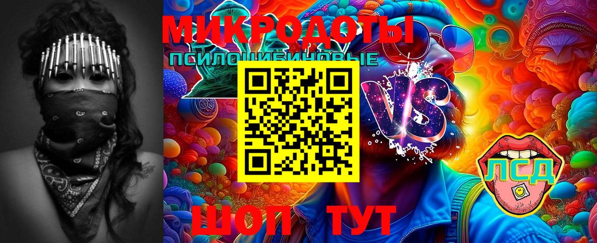 Галлюциногенные грибы Psilocybine cubensis Уварово