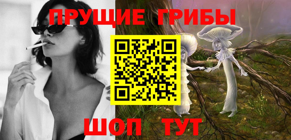 Псилоцибиновые грибы Magic Shrooms  Уварово  Галлюциногенные грибы Psilocybe 