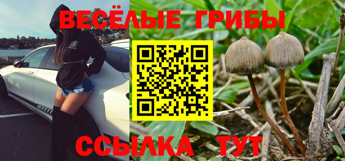 Уварово  Галлюциногенные грибы MAGIC MUSHROOMS  Вход с VPN 